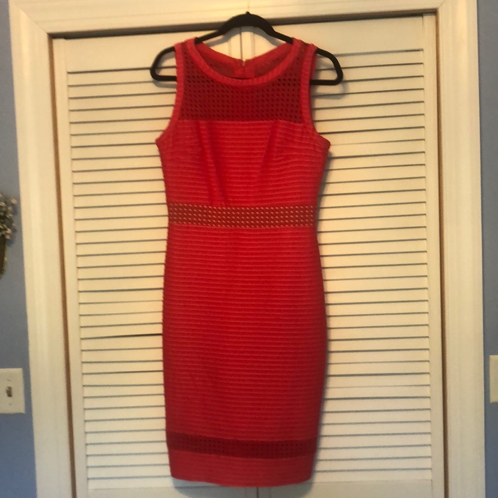 Women Pink Dress